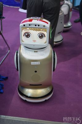 看花眼睛 2016高交会惊现这么多酷炫智能机器人-